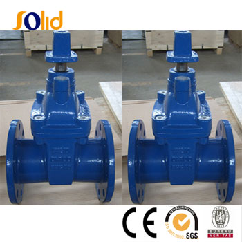 gate valve