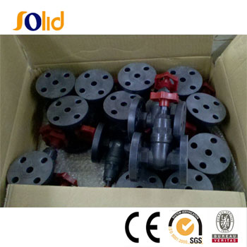 PVC globe valve